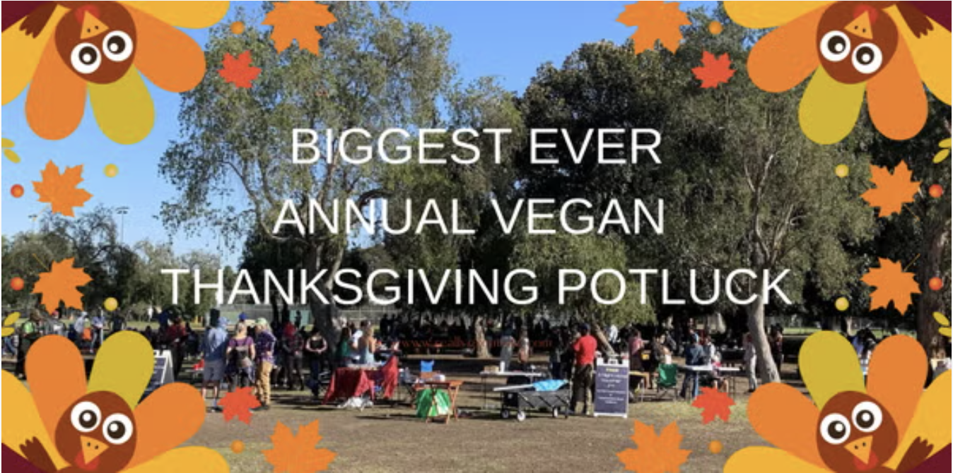 Vegan Picnic Potluck on Thanksgiving Day